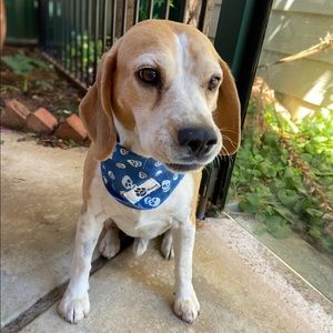 Meet your Posher, Mandy